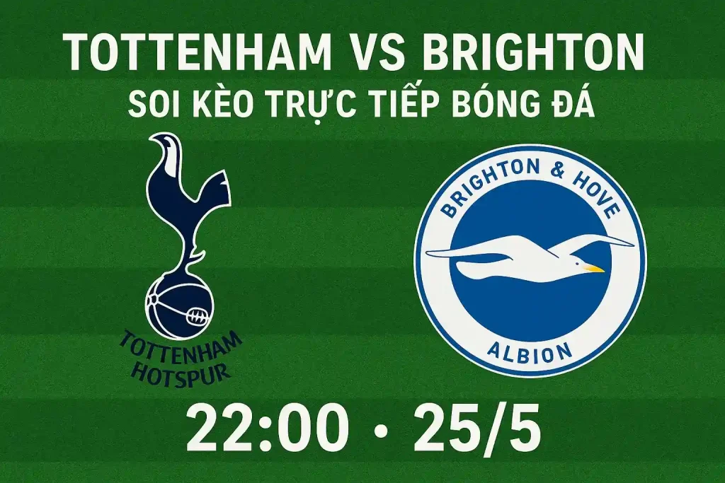 Tottenham vs Brighton - Soi kèo trực tiếp bóng đá 22:00-25/5 1 Soi kèo trực tiếp bóng đá Tottenham vs Brighton